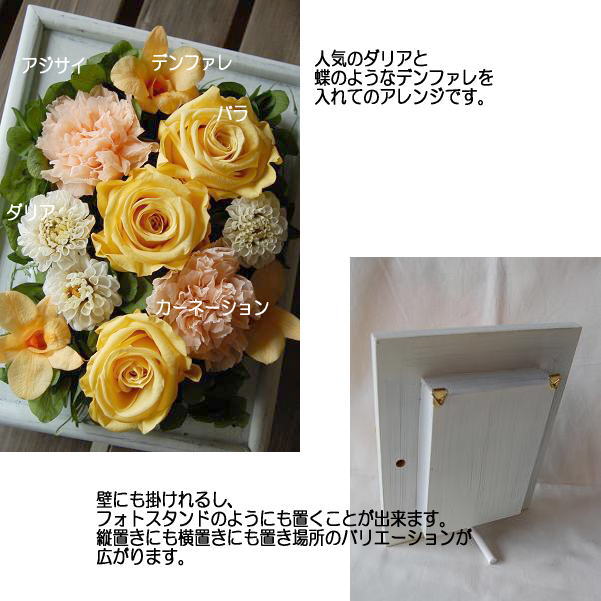 �v���U�[�u�h�t�����[����