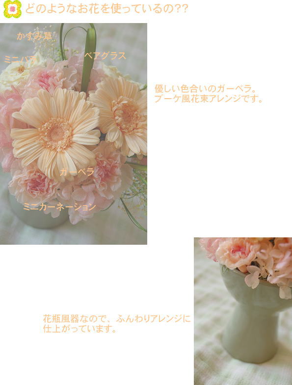 �v���U�[�u�h�t�����[����